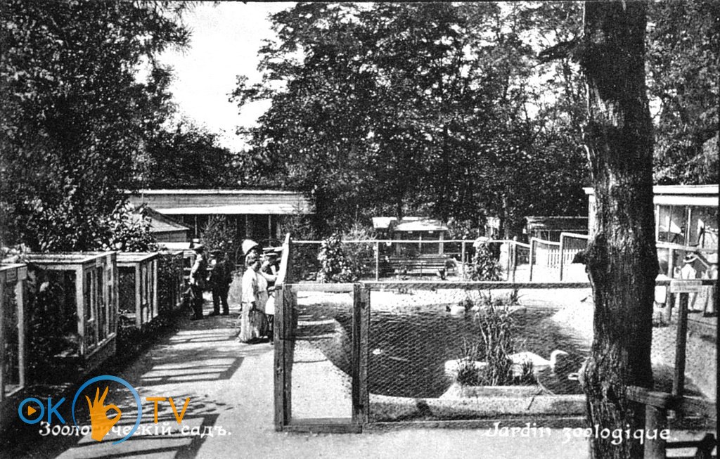 Зоологический          сад          на          территории          Ботанического          сада          Университета          св.          Владимира.          1900-е          годы