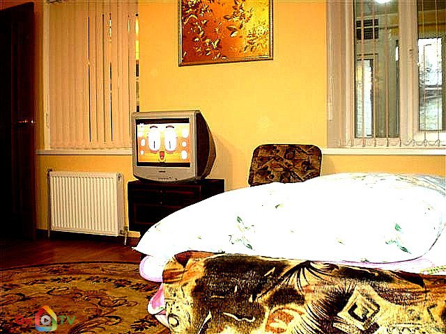 Двухкомнатная квартира в центре города Николаев фото 5