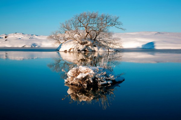 шацкие озера зимой фото