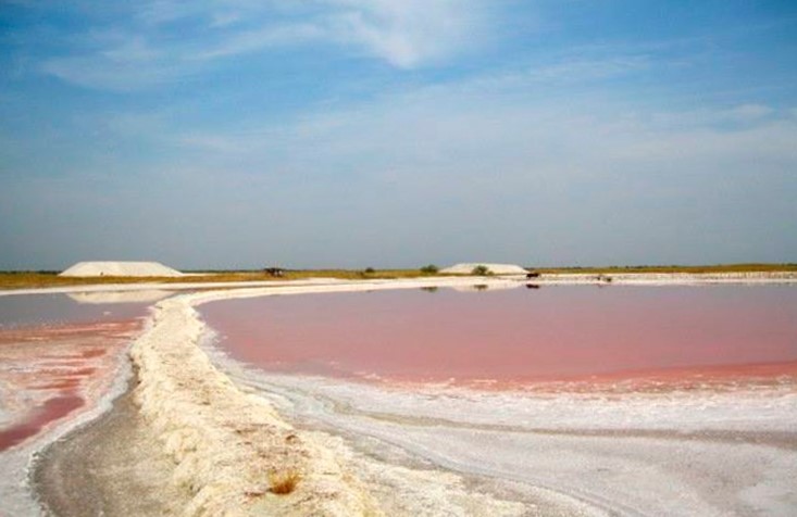 розовое озеро украина фото