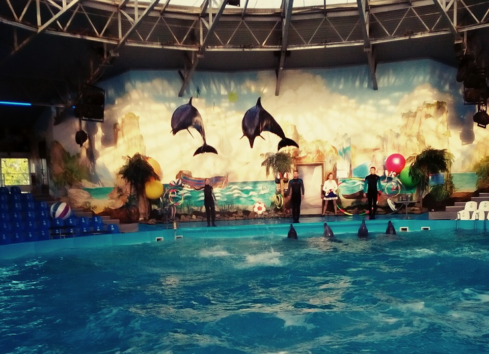 дельфинарий немо