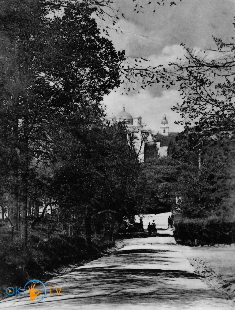 Аллея          Царского          сада.          1900-е          годы