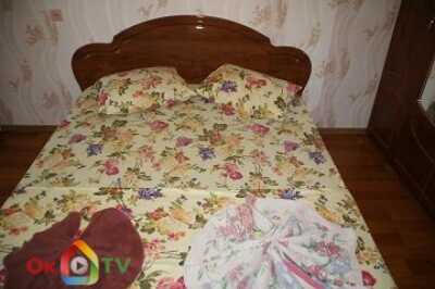 квартира посуточно - Житомир, Центр, ул. Шелушкова, 118 - фото 1