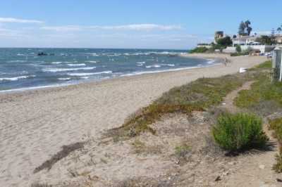 квартира посуточно - Михас - фото 10