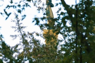 квартира подобово - Київ, Шевченківський район, вул. Хрещатик, 15 - фото 8