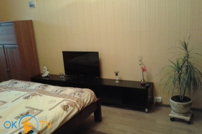 квартира посуточно - Киев, Деснянский район, ул. Марины Цветаевой, 16 А - фото 10