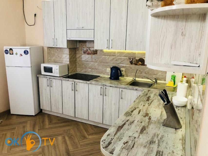 Однокомнатная квартира посуточно в ЖК Старокиевский фото 5