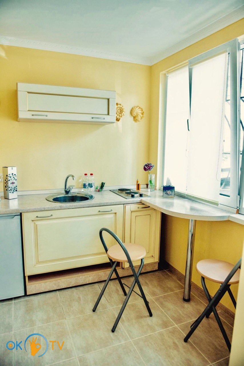Миниатюрная квартира для двоих в Одессе фото 5