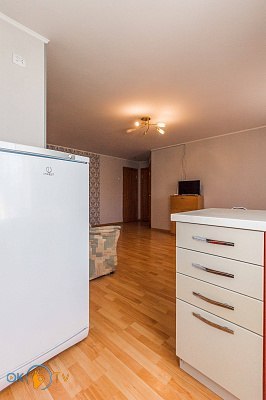 Трехкомнатная квартира в Черкассах посуточно фото 9