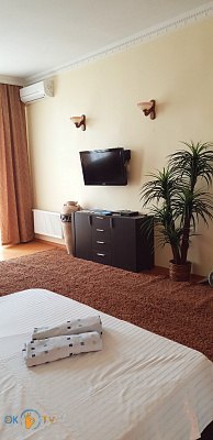Двухкомнатная квартира посуточно в Тернополе фото 4