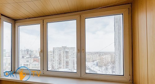 Квартира с красивым видом из окна в Киеве фото 6