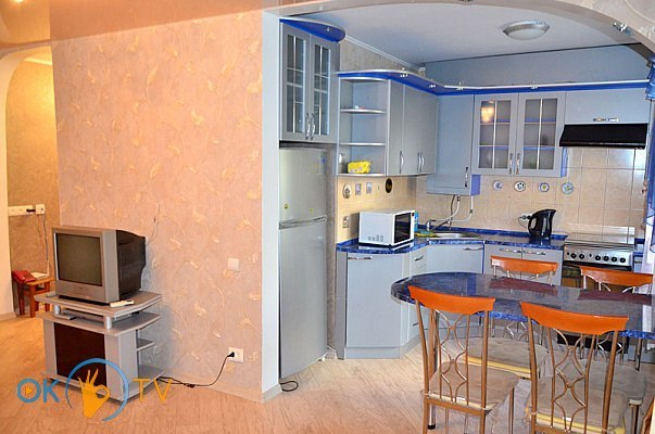 Большая квартира в Херсоне посуточно фото 10