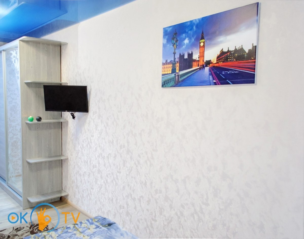Трехкомнатная квартира в Харькове с новым современным ремонтом в восточном стиле фото 5