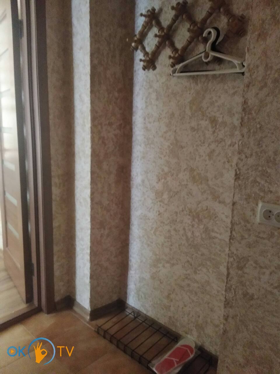 Светлая однокомнатная квартира в Харькове посуточно фото 9
