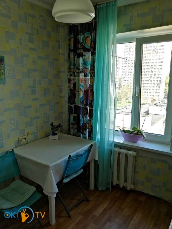 Однокомнатная квартира посуточно в Киеве фото 5