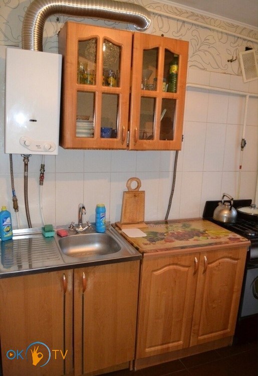 Уютная однокомнатная квартира посуточно в Виннице со всеми удобствами фото 5