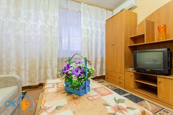 Однокомнатная квартира посуточно в Киеве на КПИ фото 3