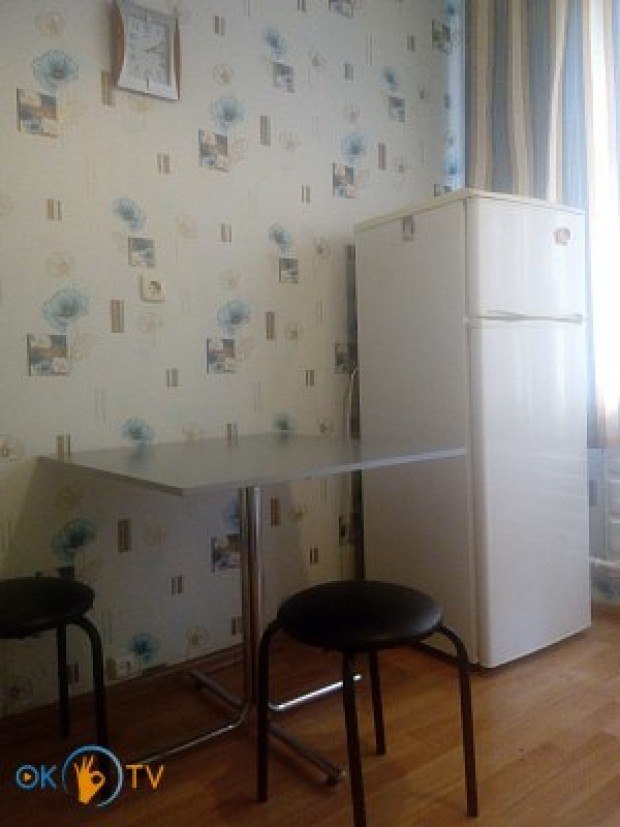 Однокомнатная квартира посуточно в Киеве на Оболони фото 10