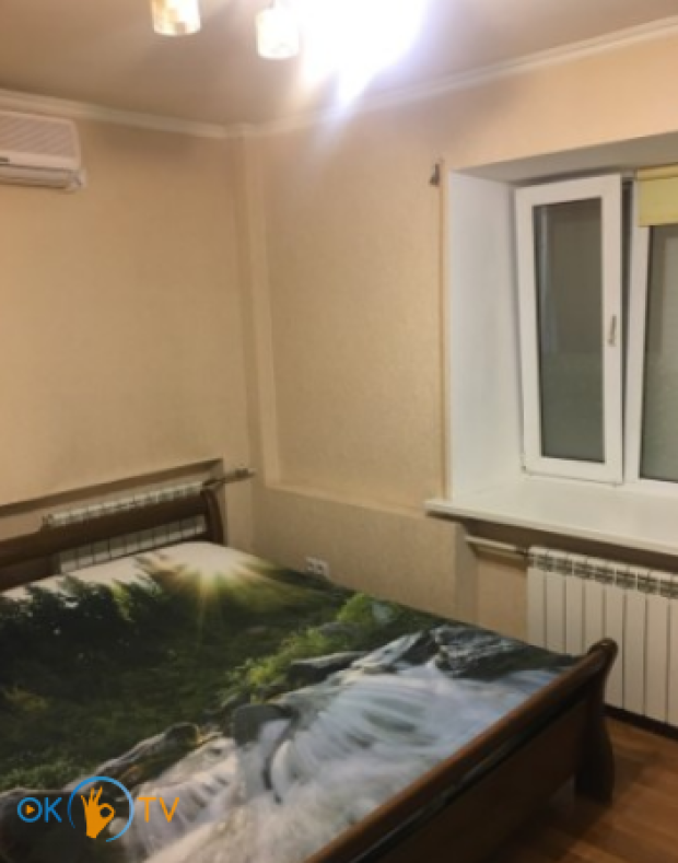 Двухкомнатная квартира посуточно в Киеве на Печерске фото 2