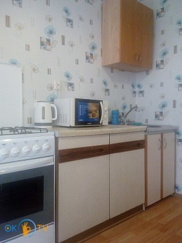 Однокомнатная квартира посуточно в Киеве на Оболони фото 11