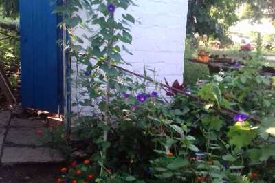 дом посуточно - Григоровка, ул. Кузнечная, 11 - фото 16