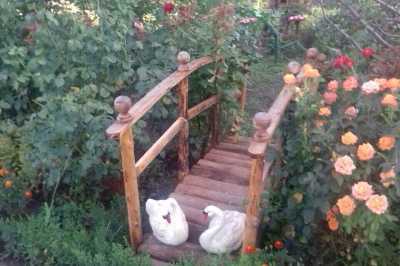 дом посуточно - Григоровка, ул. Кузнечная, 11 - фото 12