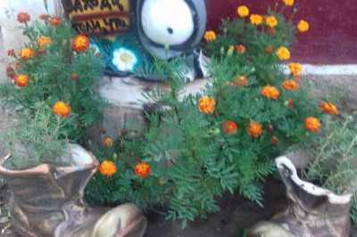 дом посуточно - Григоровка, ул. Кузнечная, 11 - фото 14