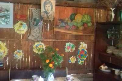 дом посуточно - Григоровка, ул. Кузнечная, 11 - фото 6