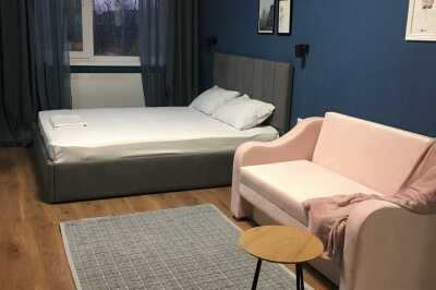 квартира                            посуточно - Киев, Голосеевский район, ул. Березовая, 40