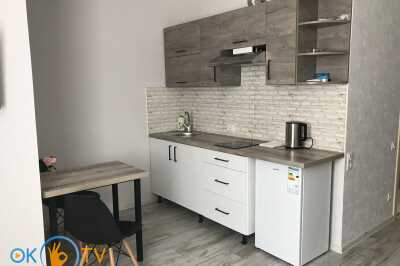 квартира посуточно - Киев, Голосеевский район, ул. Березовая, 44 - фото 2