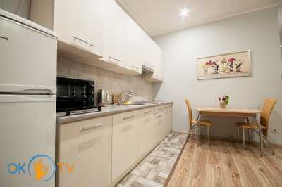 квартира посуточно - Ужгород, Центр, ул. Мукачевская, 4 - фото 3