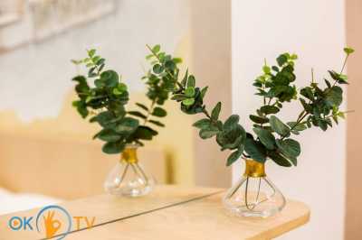 квартира посуточно - Львов, Галицкий район, ул. Шолом-Алейхема, 8 - фото 10