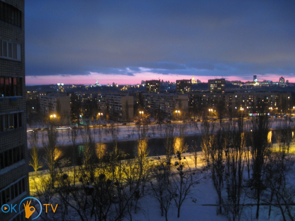 Однокомнатная квартира с видом на Русановский канал фото 13