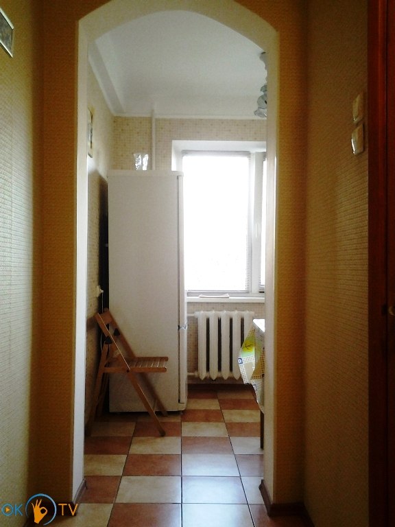 Уютная однокомнатная квартира в Подольском районе Киева фото 15