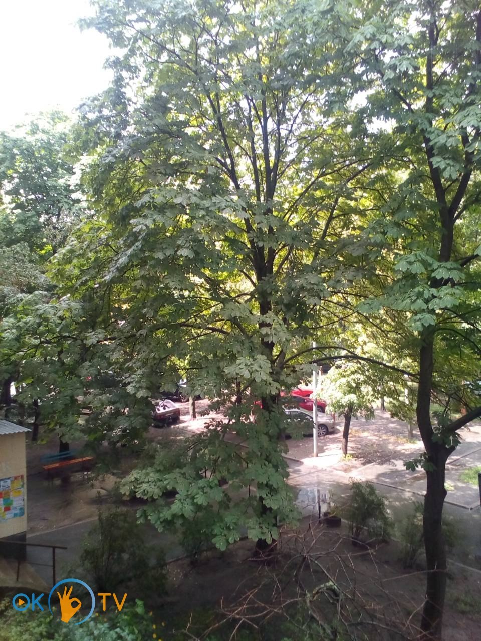 Трехкомнатная квартира посуточно в Киеве возле Левобережной фото 15