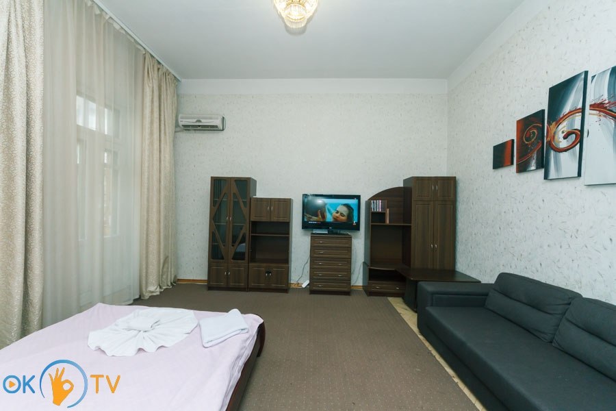 Просторная однокомнатная квартира с современым интерьером в сердце Киева фото 3