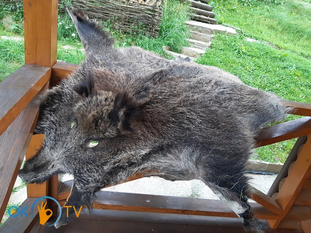 Коттедж в Славском посуточно для 6 человек (с банькой) фото 5