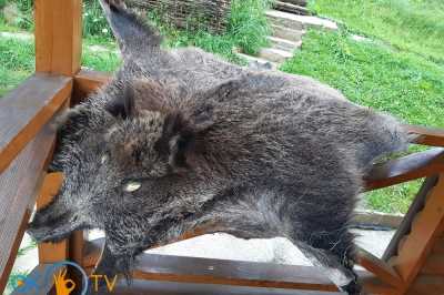 дом посуточно - Славское, ул. Тараса Шевченко, 121б - фото 4