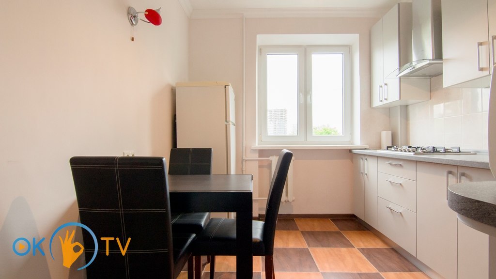 Аренда двухкомнатной квартиры посуточно: Леси Украинки, Киев фото 10
