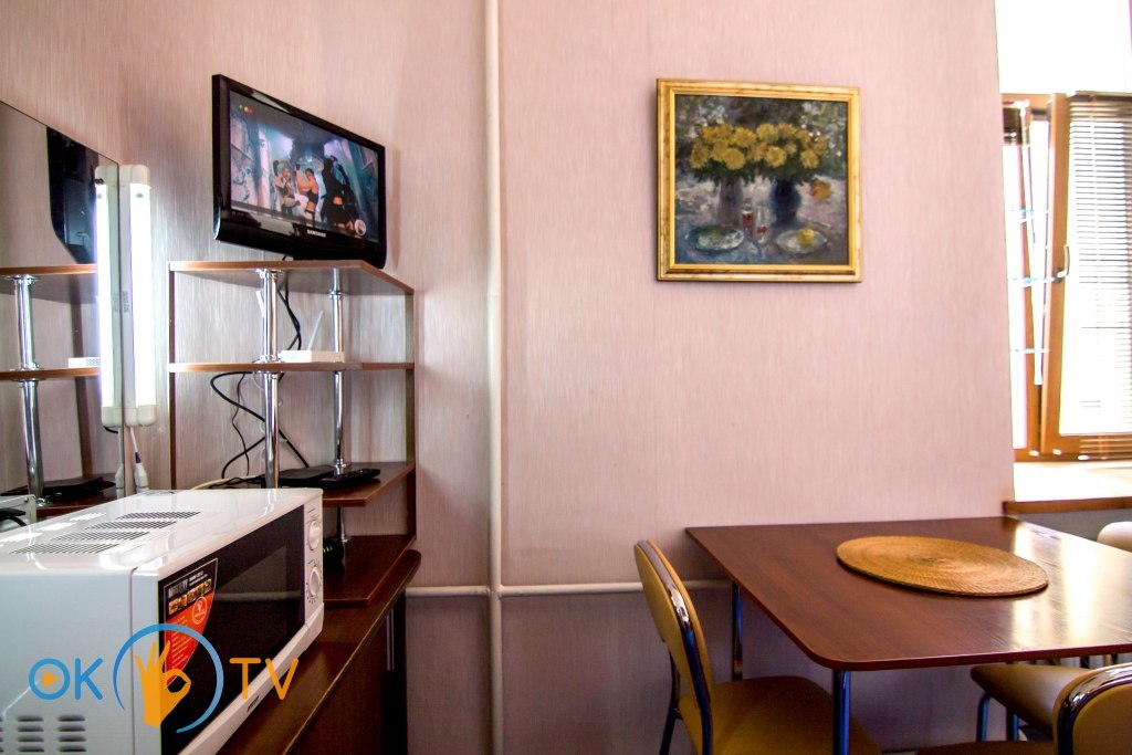 Однокомнатная квартира посуточно в центре Киева фото 12