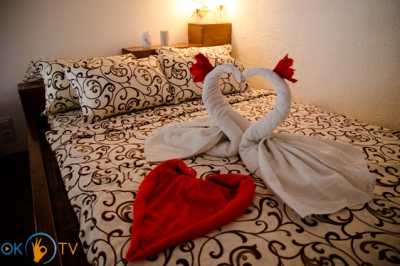 квартира посуточно - Ровно, ул. Буковинська, 14а - фото 6