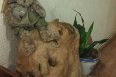 квартира посуточно - Хмельницкий, Центр, ул. Водопроводная, 45 - фото 6