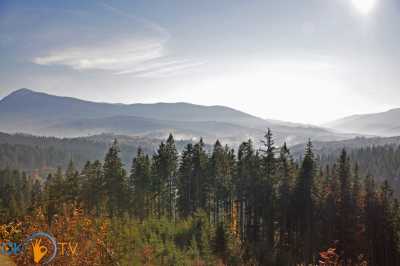 дом посуточно - Яблоница, 16 - фото 9