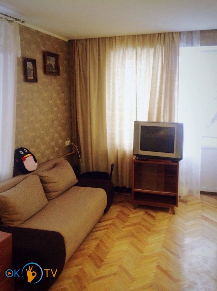 Уютная квартира посуточно: Киев, проспект Победы фото 2