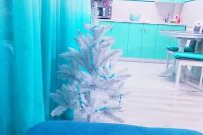 квартира посуточно - Днепр (Днепропетровск), Шевченковский район, ул. Староказацкая , 2 - фото 1