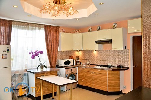VIP дом в Киеве для больших компаний фото 12