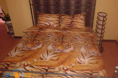 дом посуточно - Киев, Деснянский район, ул. Свято-Троицкая, 39 - фото 5