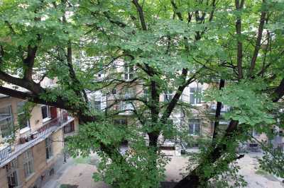 квартира посуточно - Львов, Галицкий район, ул. Шевченко, 4 - фото 19