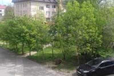 квартира посуточно - Луцк, Центр, просп. Воли, 21 - фото 16