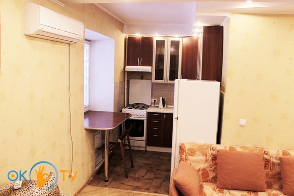 Двухкомнатная квартира посуточно в Киеве возле Охматдета фото 7